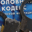 Пенсионерка из Ленобласти перевела мошенникам более 5 млн рублей - 47Channel.Ru