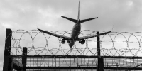 Россиянка угрожает отрезать уши волонтёрам за депортацию из Таиланда - РТВ-Подмосковье