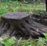ВятГУ - Syktyvkar.1istochnik.Ru