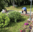 img_20260710_153925_768 - Сетевое издание Владимирские новости