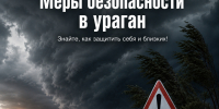Татарстанцам посоветовали в ураган не прятаться под деревьями - Альметьевск РТВ