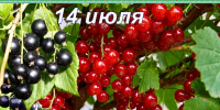 Наш календарь. 14 июля 2026 - Газета Ангарский рабочий