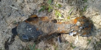 В Азовском море у станицы Голубицкой подросток обнаружил боевую мину времен войны - Itar-TassKuban.Ru