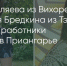 Поделитья во ВКонтакте - Братская Студия Телевидения