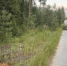 В результате ДТП пострадал пешеход - 2Goroda.Ru