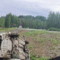 Более 1,2 тысячи нарушений ПДД зафиксировали за неделю в Республике Алтай - Сетевое издание Толк