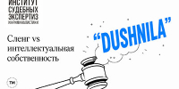 СИП рассмотрит вопрос о регистрации сленгового слова «Душнила» в качестве товарного знака - ИСЭК