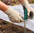 Металлические колышки GreenArt стали дачным хитом в Fix Price - Peterburg2.Ru