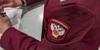 От собак, лис и даже обезьян: кого опасаться и что делать после укуса в Томской области - ГТРК Томск