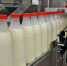 Аграрии Каменского района представят свою продукцию на всероссийский конкурс «100 лучших товаров». - Уральский рабочий