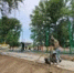 Лето – время благоустройства скверов и парков - Sharypovo.Today