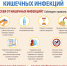 1_ПАМЯТКА_ПРОФИЛАКТИКА_КИШЕЧНЫХ_ИНФЕКЦИЙ.jpg - Администрация Соликамского г.о.