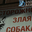 В Иркутской области хозяйка агрессивной собаки не явилась в суд - ИА Байкал-Daily