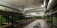 Безопасность жителей региона в приоритете - ТРК 27 плюс