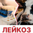 Лейкоз крупного рогатого скота. - Шипуновский район