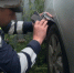 Уголовное дело возбудили в отношении матери 16-летнего мотоциклиста в Тайшетском районе - IrkutskMedia.Ru