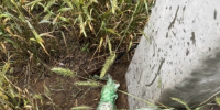 В Тольятти полицейские нашли закопанное во дворе украденное золотое кольцо и вернули владелице - Площадь Свободы