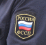 Судебные приставы Богучанского округа взыскали крупный штраф за незаконную вырубку леса - УФССП России