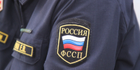 Судебные приставы Богучанского округа взыскали крупный штраф за незаконную вырубку леса - УФССП России