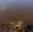 вода - ИА Удмуртия