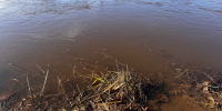 вода - ИА Удмуртия