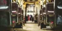 Фото: unsplash.com - Алтайская правда