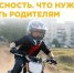 Отделение Госавтоинспекции МО МВД России «Карсунский» предупреждает!. - Муниципальное образование