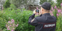 В Костромской области стартовала профилактическая операция «Мак» - ГТРК Кострома