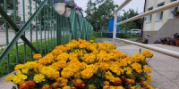 Яркое лето в садах и школах - Департамент образования