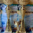 Завоеванные награды ансамбля «Фантазия» - UstLabInfo.Ru
