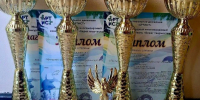 Завоеванные награды ансамбля «Фантазия» - UstLabInfo.Ru