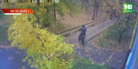 Двойной поворот в деле о покушении: Черкасина отправили в зону СВО, а Шевырева-младшего оправдали - ТРК Татарстан-Новый век