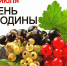 День смородины - Роспотребнадзор