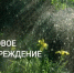 14 и 15 июля Крым накроют сильные ливни, грозы и град - Вести Крым