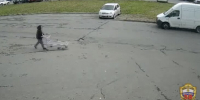 Полиция задержала похитителей магазинных тележек в Москве - M24.Ru