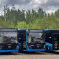 В Муром поступили 18 новых автобусов по нацпроекту - PRO Город Владимир