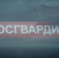 В Тольятти росгвардейцы задержали женщину, похитившую товары из магазина женского белья - НИА Самара