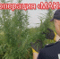 Сотрудники полиции проводят комплексную оперативно-профилактическую операцию «Мак-2026» - Газета Макарьевский вестник