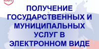 Преимущества получения государственных и муниципальных услуг в электронном виде. - Новоселицкий округ