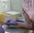Клещи в этом сезоне покусали уже почти 10 тысяч костромичей - ГТРК Кострома