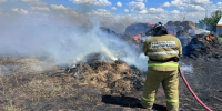 В Студенцах на площади 500 кв. м горели сено и солома - TltGorod.Ru