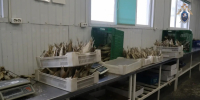 Астраханский предприниматель хранил рыбу и икру на 30 миллионов - Astrakhanpost.Ru