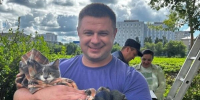 В Орле спасатели сняли испуганную кошку с дерева - РИА 57