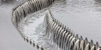 Точку слива на Правобережных очистных сооружениях открыли в Воронеже - Обозреватель.Врн