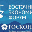 Опубликована деловая программа Восточного экономического форума – 2026 - ГТРК Новосибирск