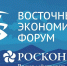 Опубликована архитектура деловой программы Восточного экономического форума – 2026 - ГТРК Томск