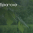 Поделитья во ВКонтакте - Братская Студия Телевидения