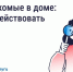 Госжилинспекция Ставрополья: Что делать, если в доме завелись насекомые. - Кировский муниципальный округ
