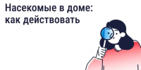 Госжилинспекция Ставрополья: Что делать, если в доме завелись насекомые. - Кировский муниципальный округ