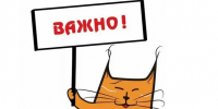 . - Городская поликлиника №7
